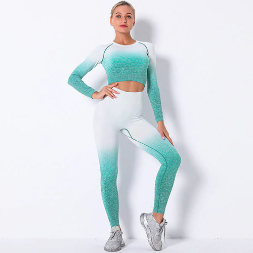 Seamless Gradient Multicolor Long Sleeve Gym Outfit